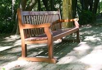 Wooden garden bench surrounded by green foliage