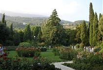 Winding garden pathway with cypress trees